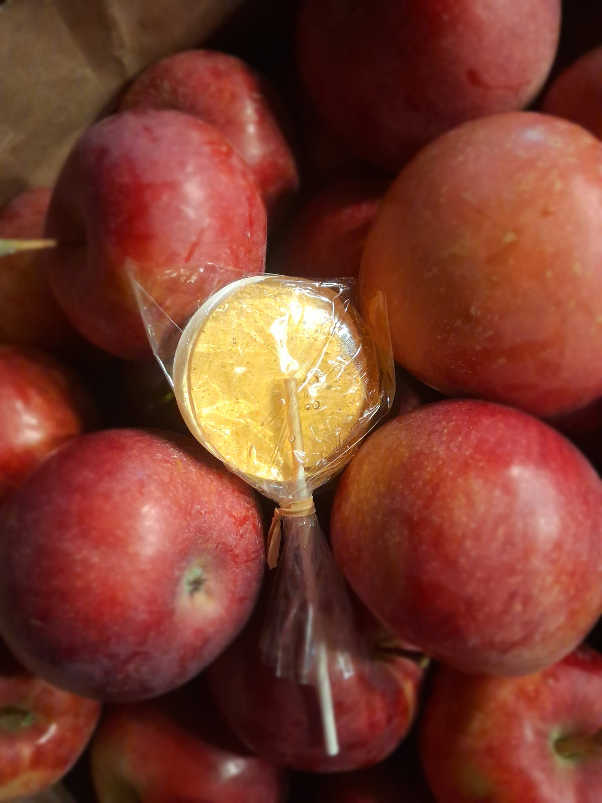 Apple Cider (12 Handcrafted Lollipops)