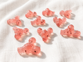 Dragon Fruit (10 Lobster-Shaped Hard Candies)
